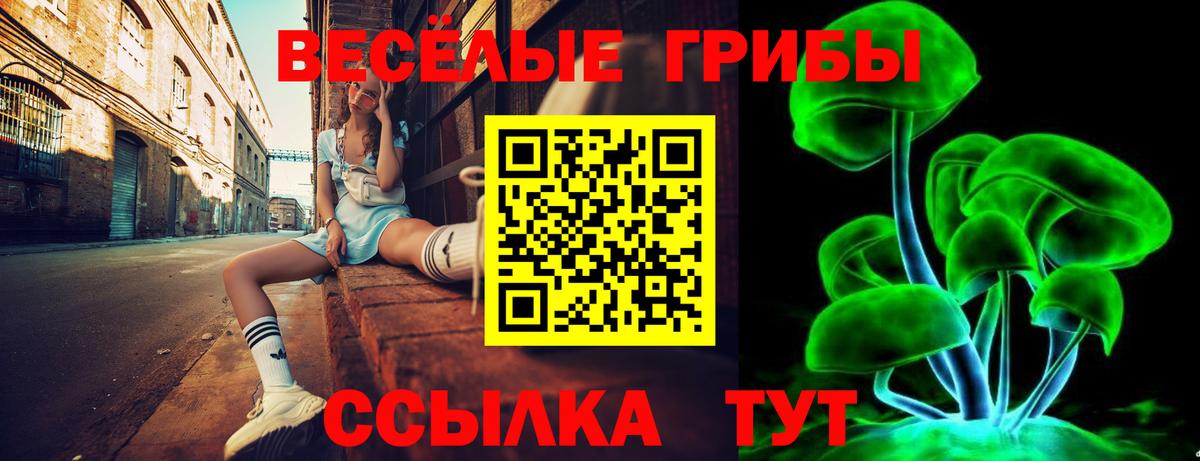 Среднеуральск  Галлюциногенные грибы Psilocybine cubensis  цена наркотик  Вход с VPN 
